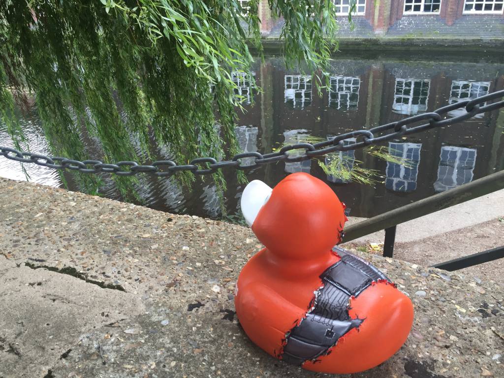 Grand Norwich Duck Race: Theo the Thynginator and our interactive treasure hunt