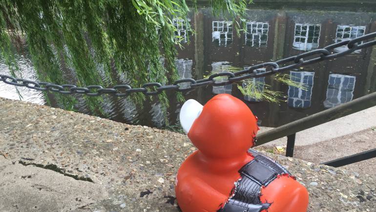 Grand Norwich Duck Race: Theo the Thynginator and our interactive treasure hunt